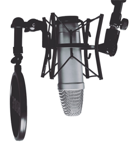 freelance voice over services header microphone 284x300.png